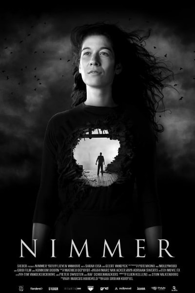 Nimmer