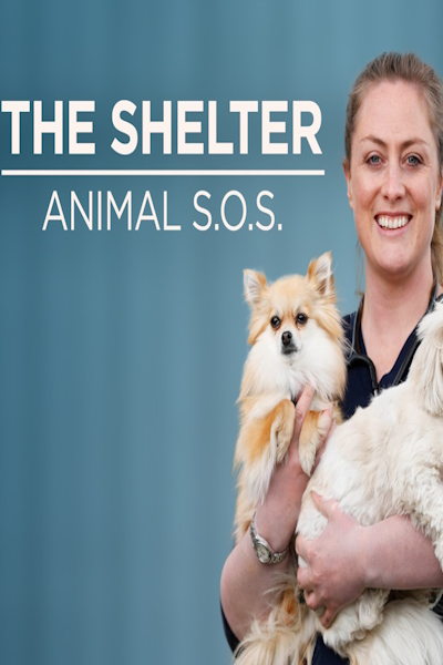 The Shelter: Animal SOS - Season 6