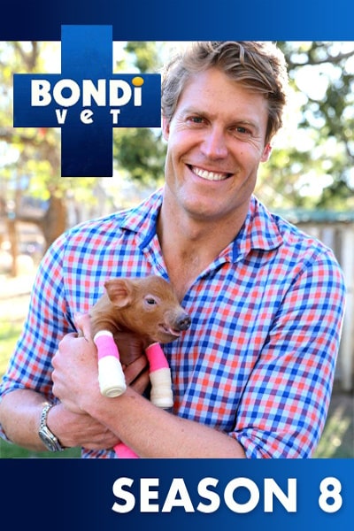 Bondi Vet - Season 8