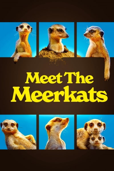 Meet the Meerkats - Season 1