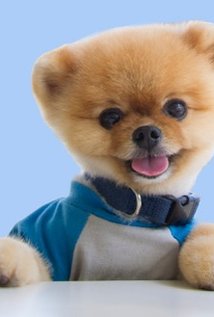 Jiffpom