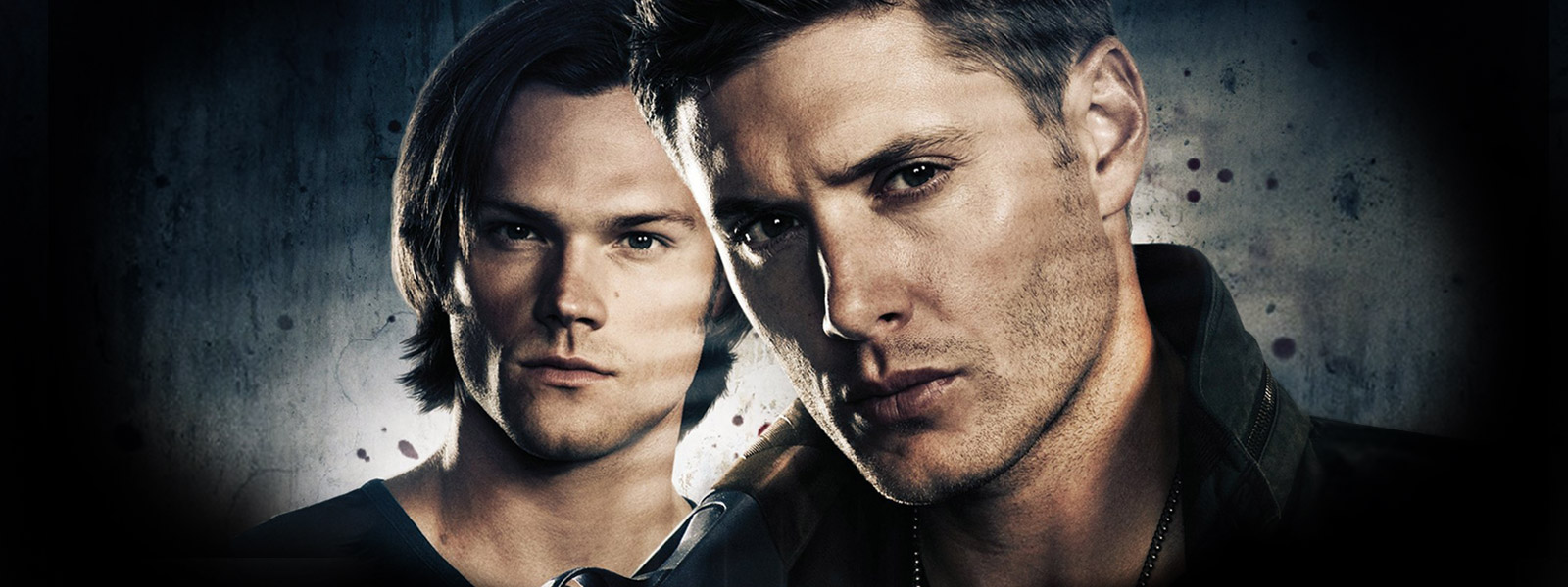 Season 11