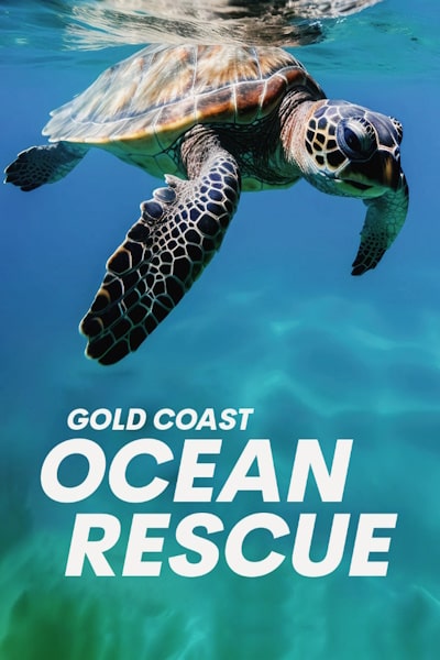 Gold Coast Ocean Rescue - Season 1