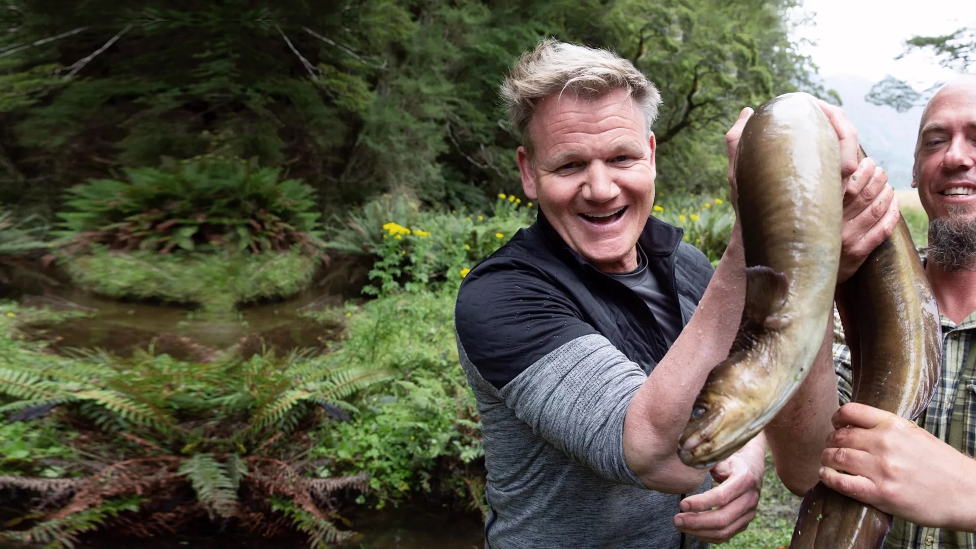 Season 4