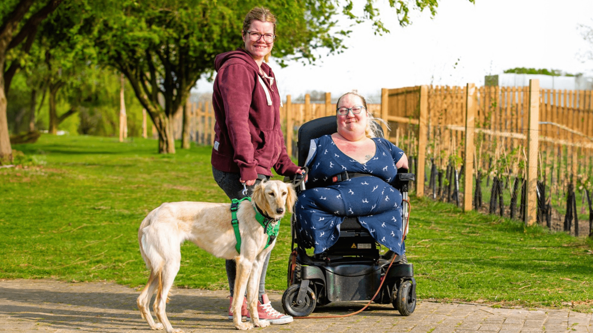 Season 8